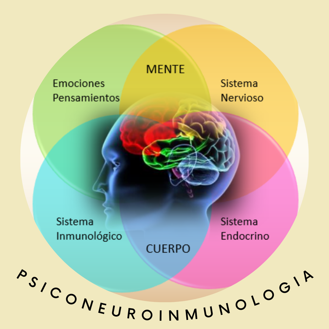 PNIE aplicada a fisioterapia